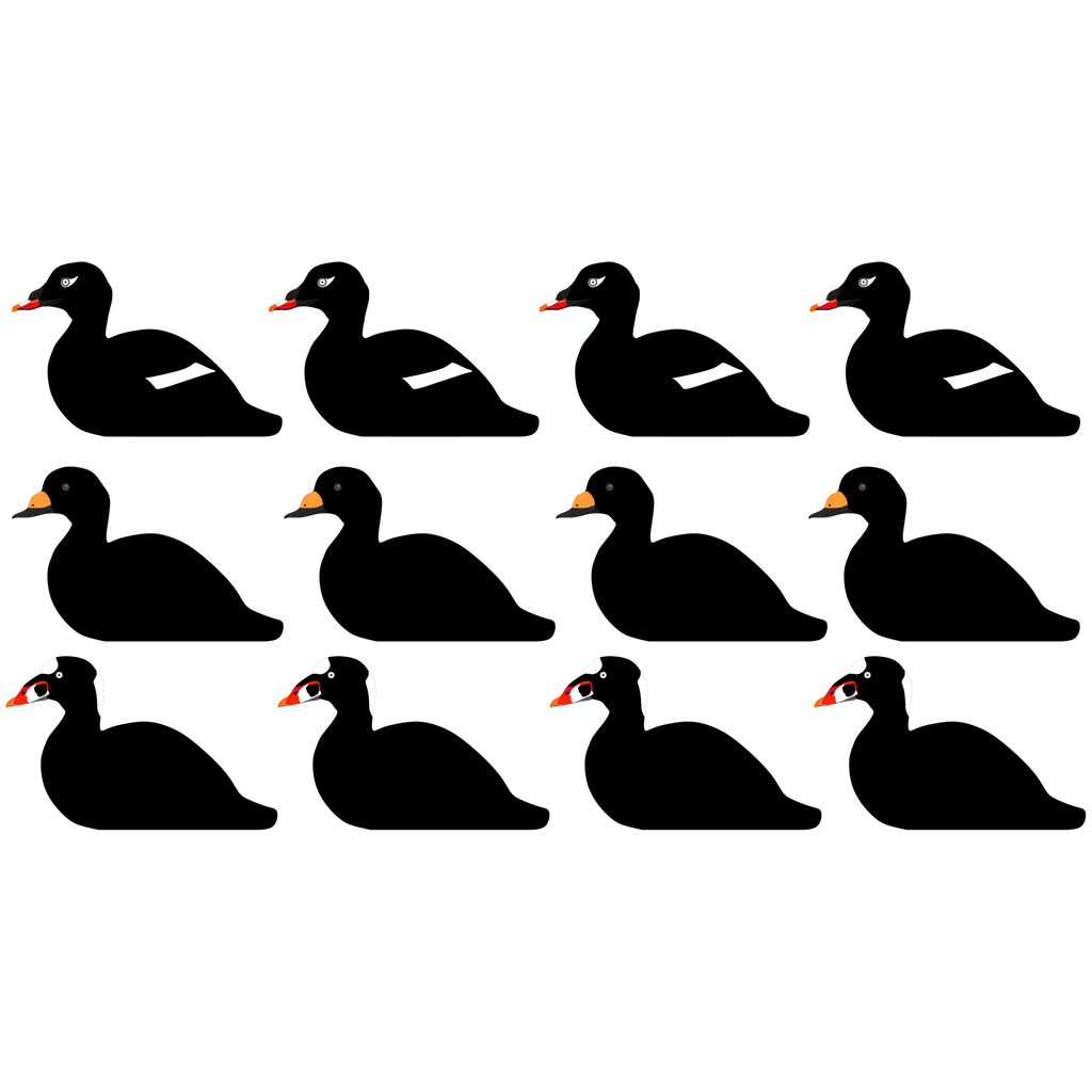 Complete V-Board Kit (1 doz Silhouettes, 4 Frames)