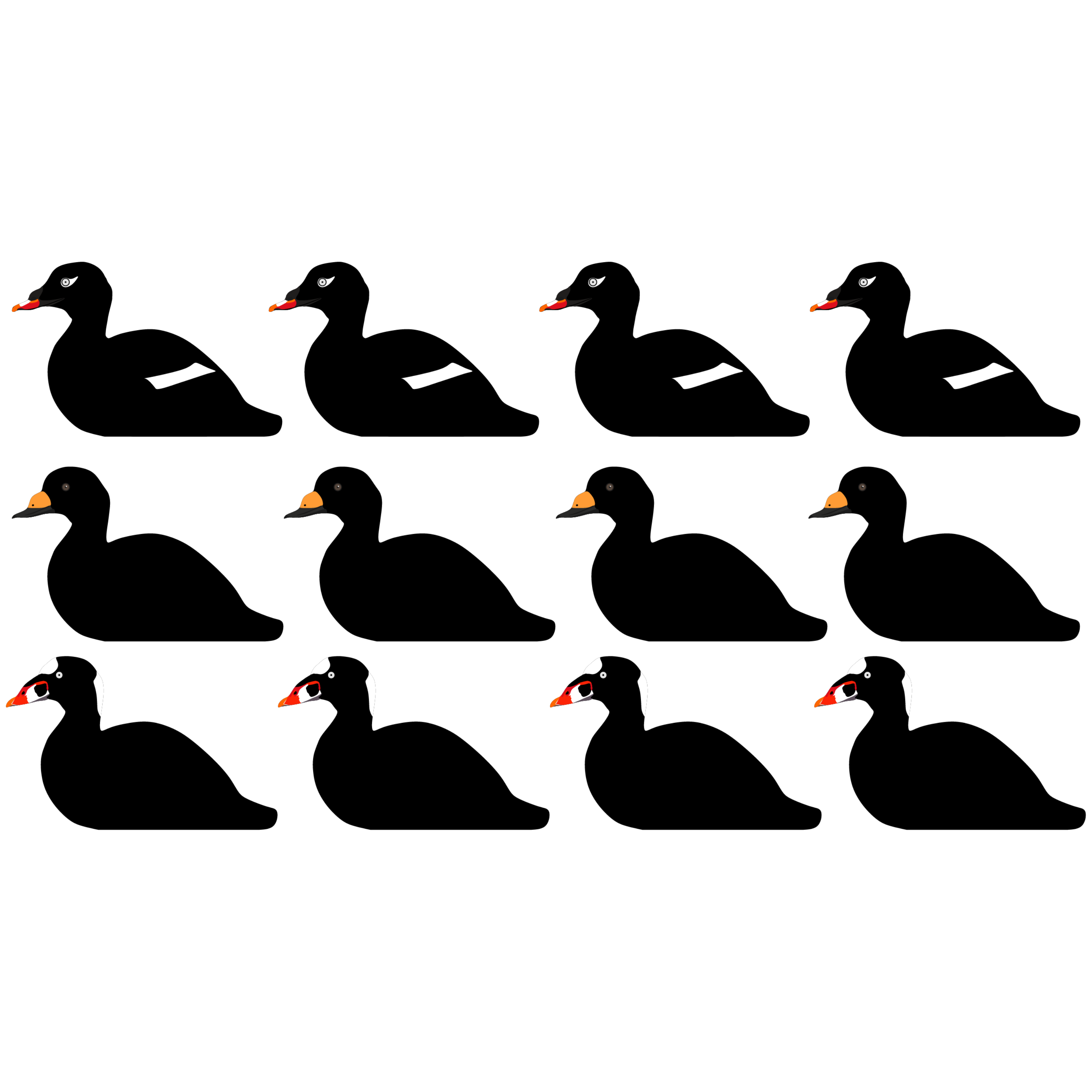 Complete V-Board Kit (1 doz Silhouettes, 4 Frames)