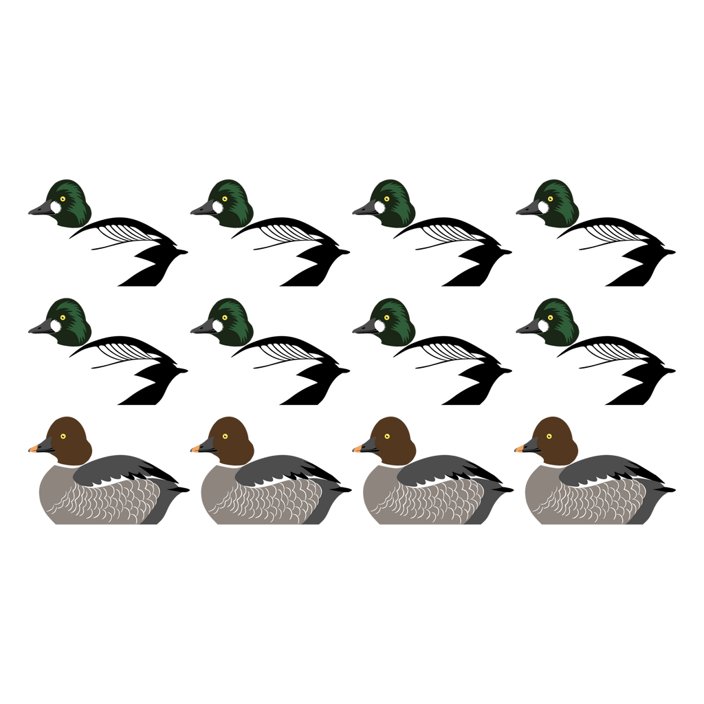 Complete V-Board Kit (1 doz Silhouettes, 4 Frames)