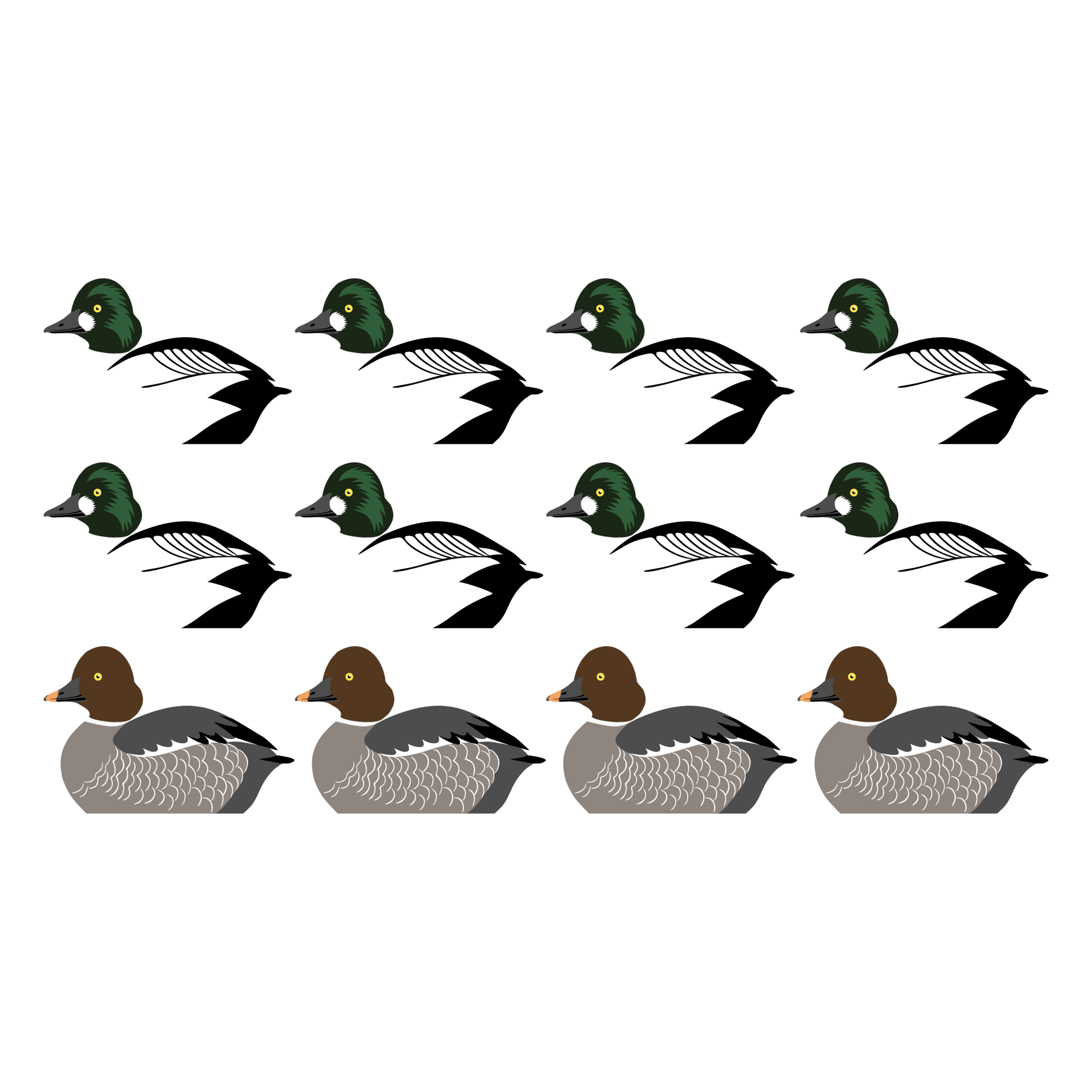 Complete V-Board Kit (1 doz Silhouettes, 4 Frames)