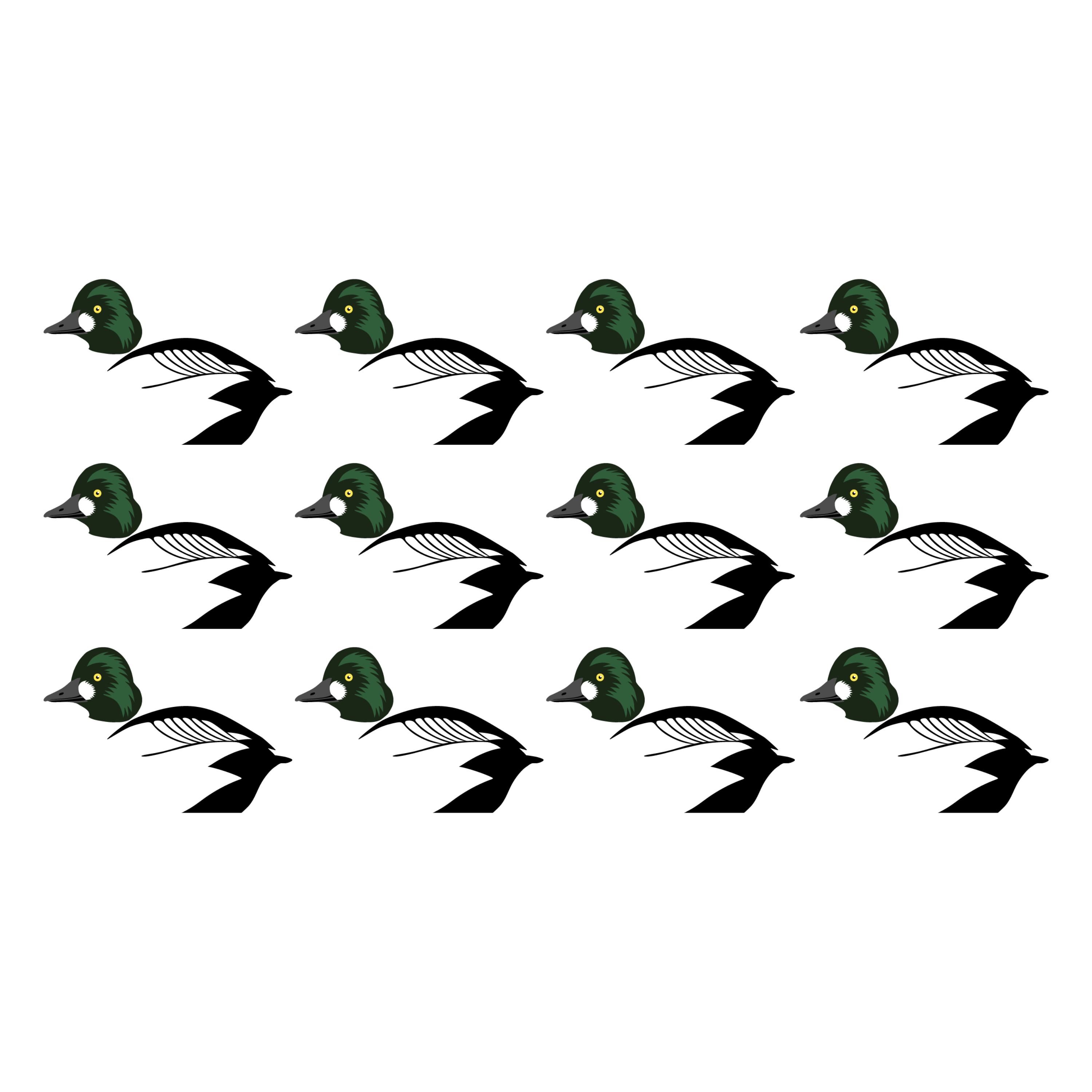 Complete V-Board Kit (1 doz Silhouettes, 4 Frames)