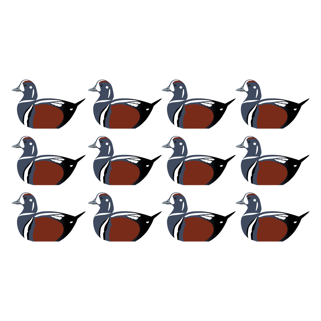 Complete V-Board Kit (1 doz Silhouettes, 4 Frames)