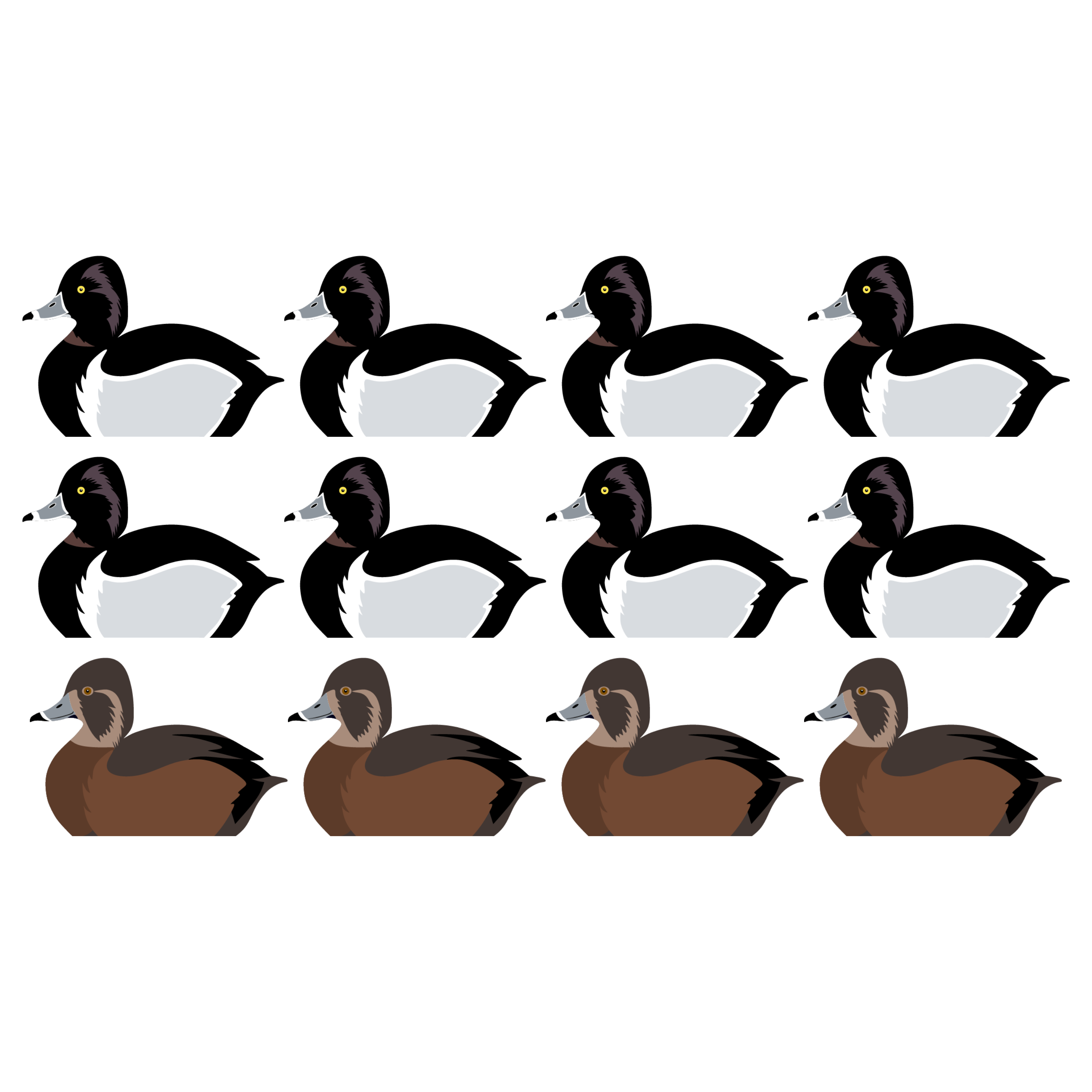 Complete V-Board Kit (1 doz Silhouettes, 4 Frames)