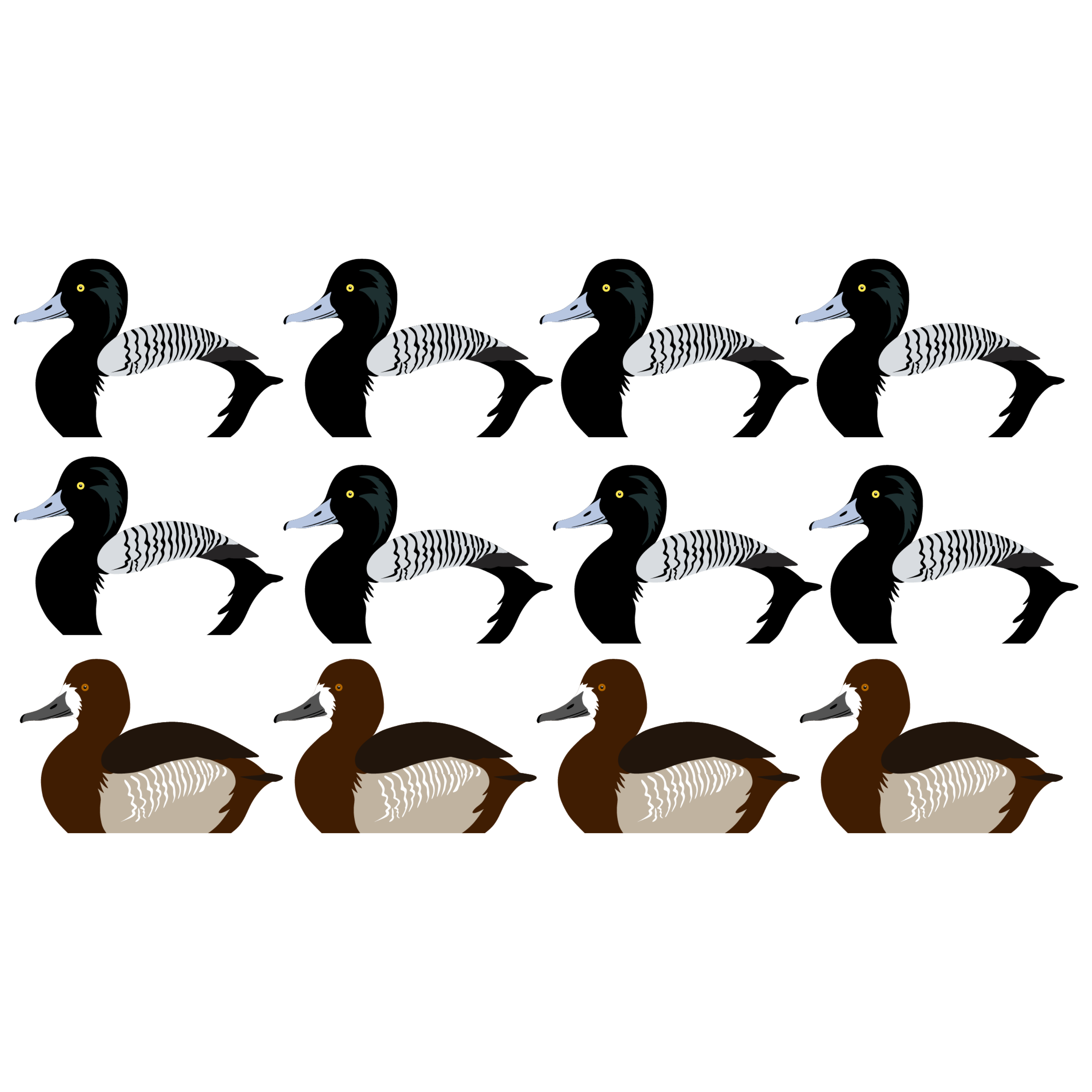 Complete V-Board Kit (1 doz Silhouettes, 4 Frames)