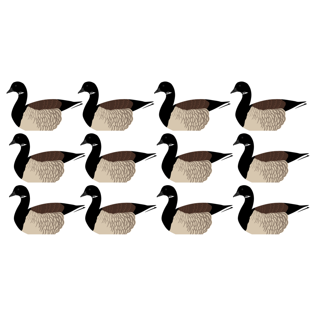 Complete V-Board Kit (1 doz Silhouettes, 4 Frames)