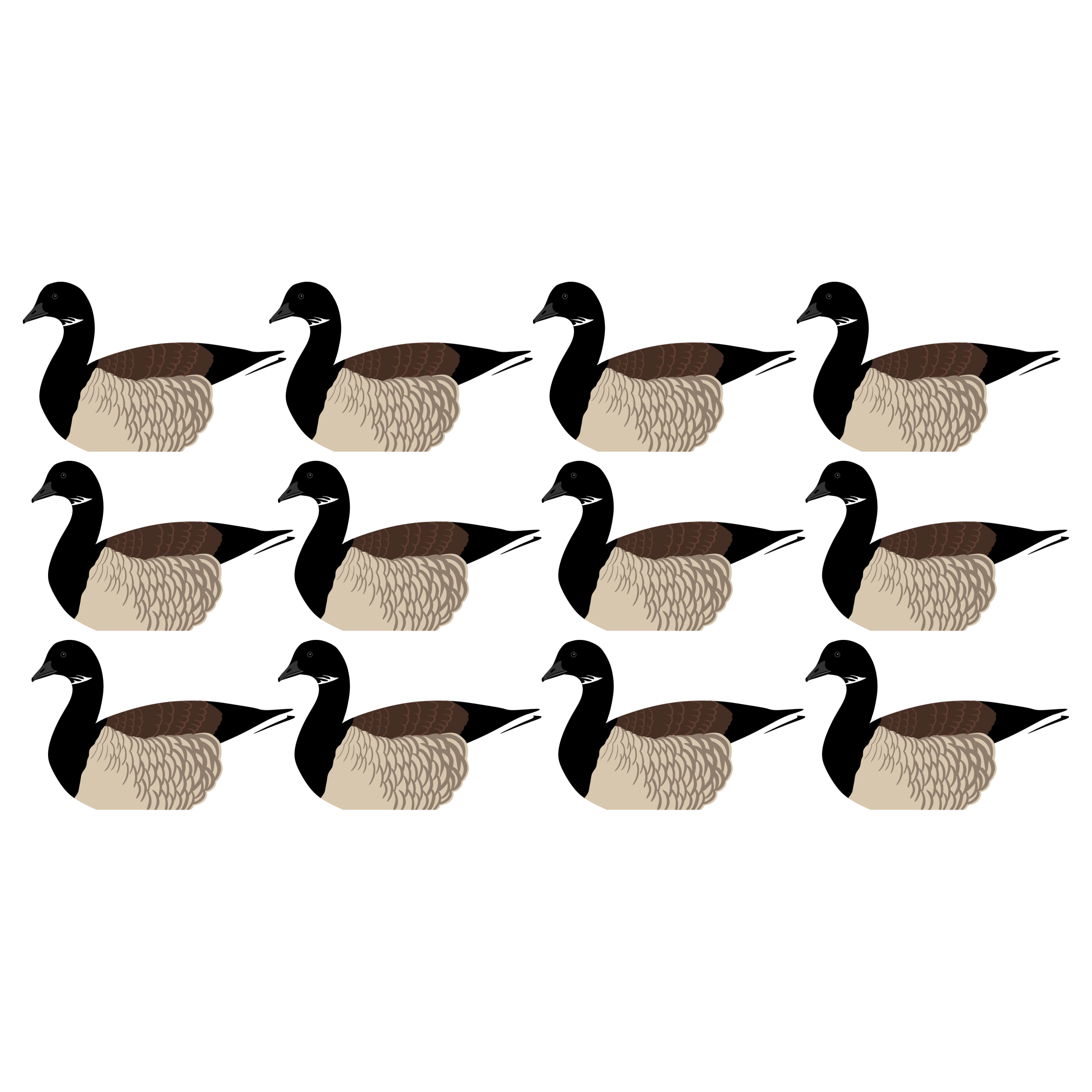 Complete V-Board Kit (1 doz Silhouettes, 4 Frames)