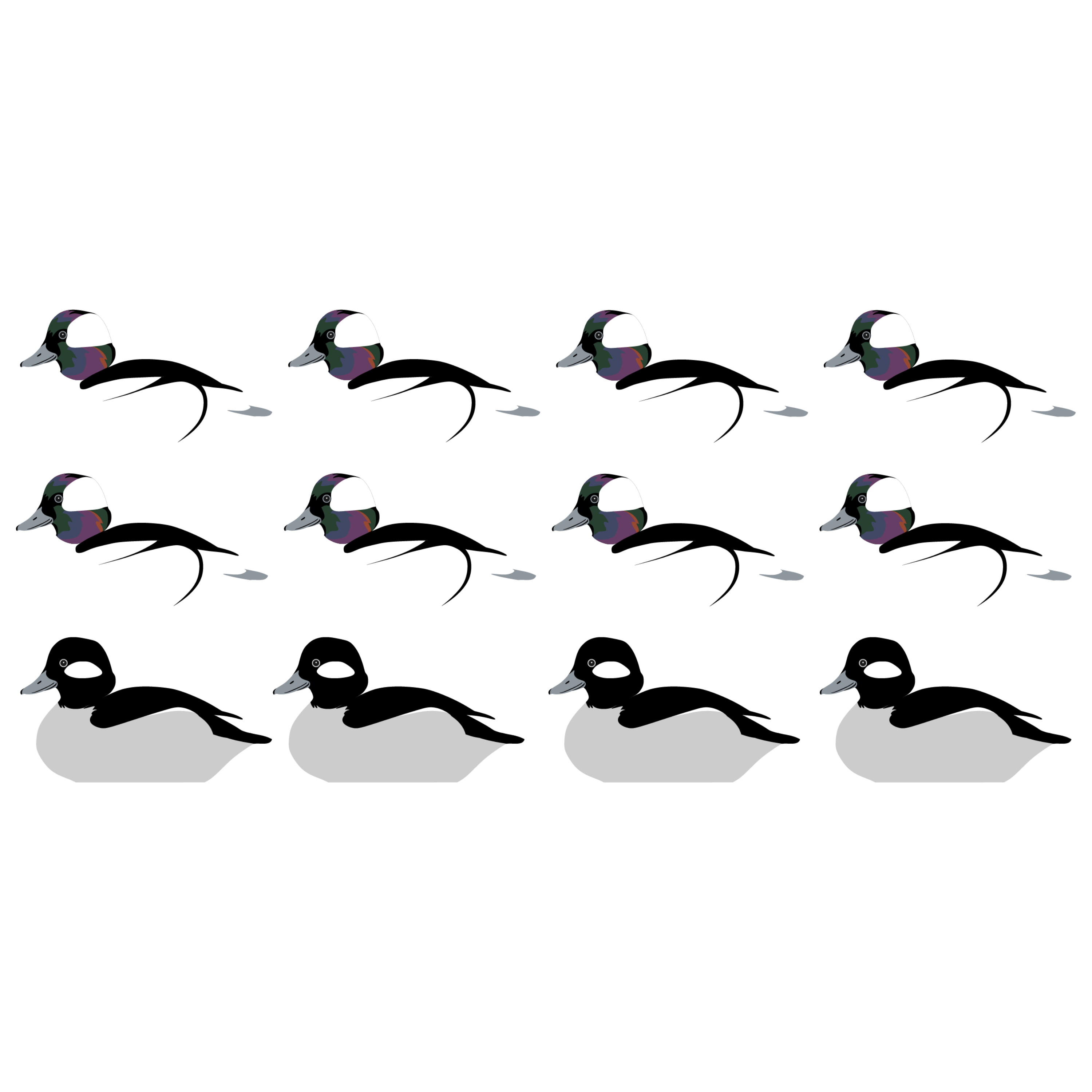 Complete V-Board Kit (1 doz Silhouettes, 4 Frames)