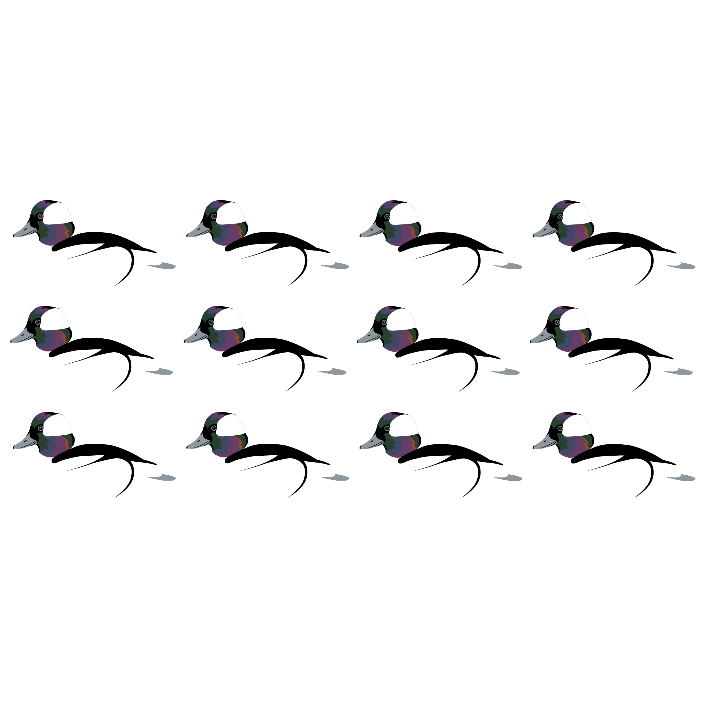 Complete V-Board Kit (1 doz Silhouettes, 4 Frames)