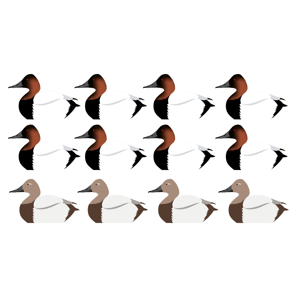 Complete V-Board Kit (1 doz Silhouettes, 4 Frames)