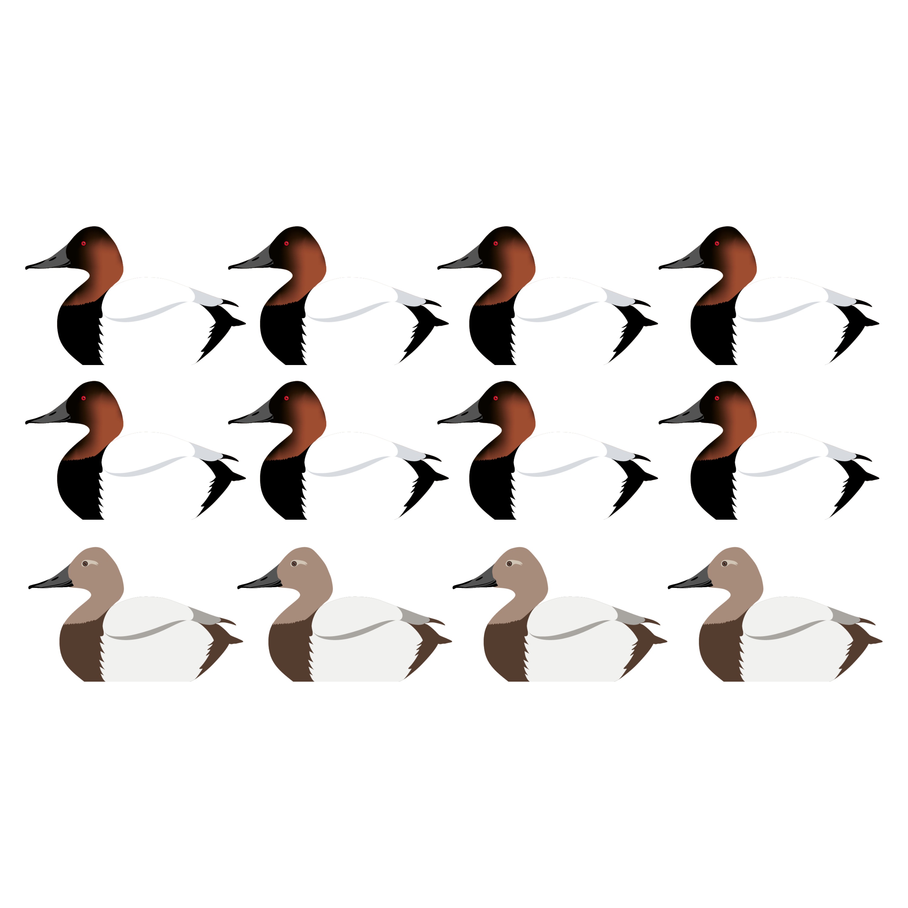 Complete V-Board Kit (1 doz Silhouettes, 4 Frames)