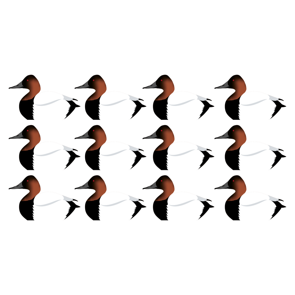 Complete V-Board Kit (1 doz Silhouettes, 4 Frames)