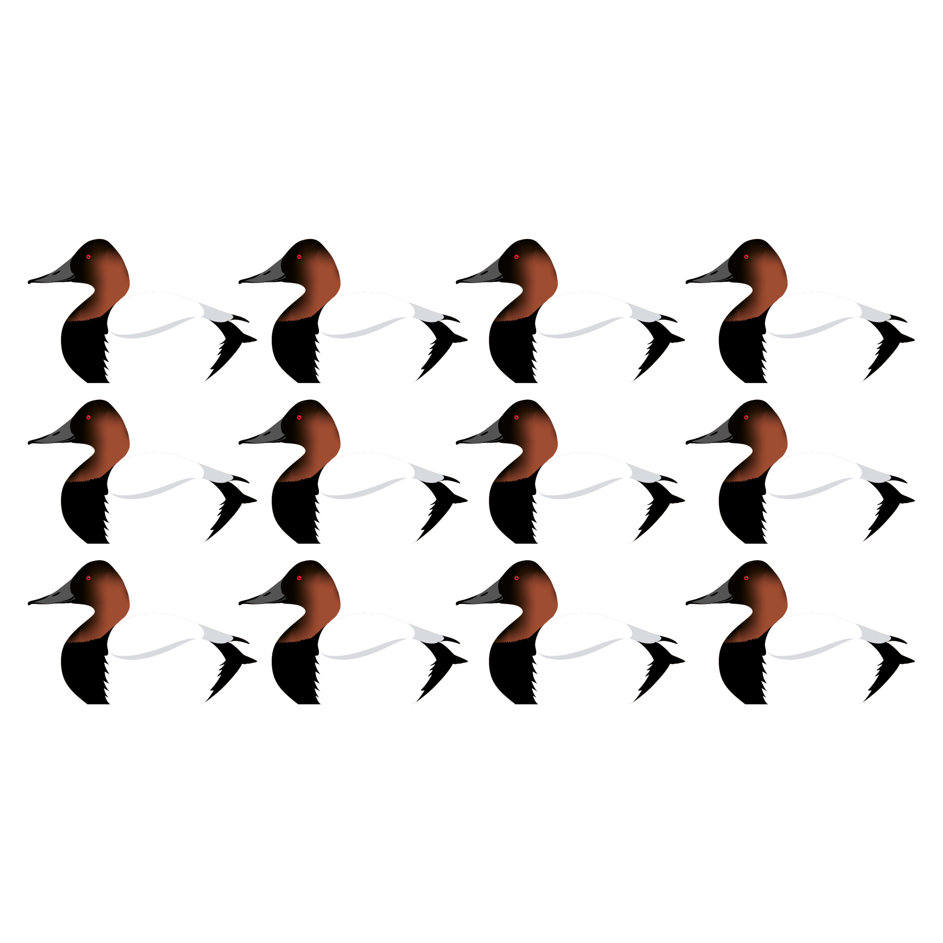 Complete V-Board Kit (1 doz Silhouettes, 4 Frames)