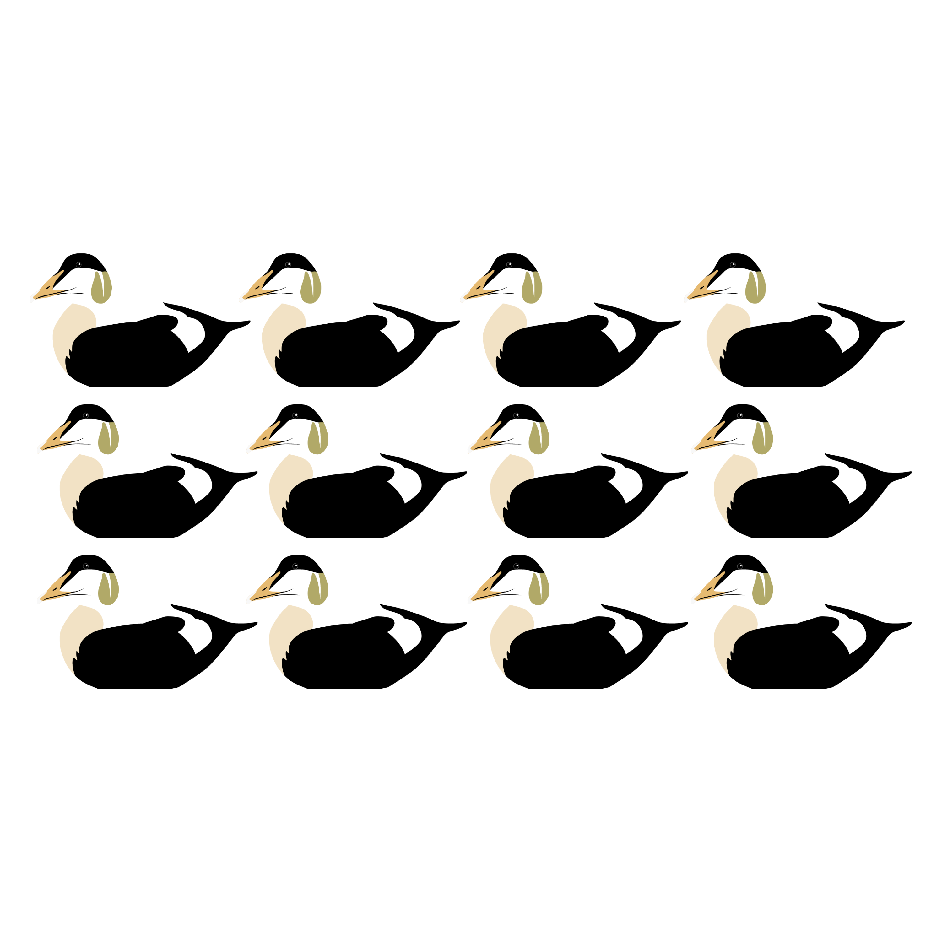 Complete V-Board Kit (1 doz Silhouettes, 4 Frames)