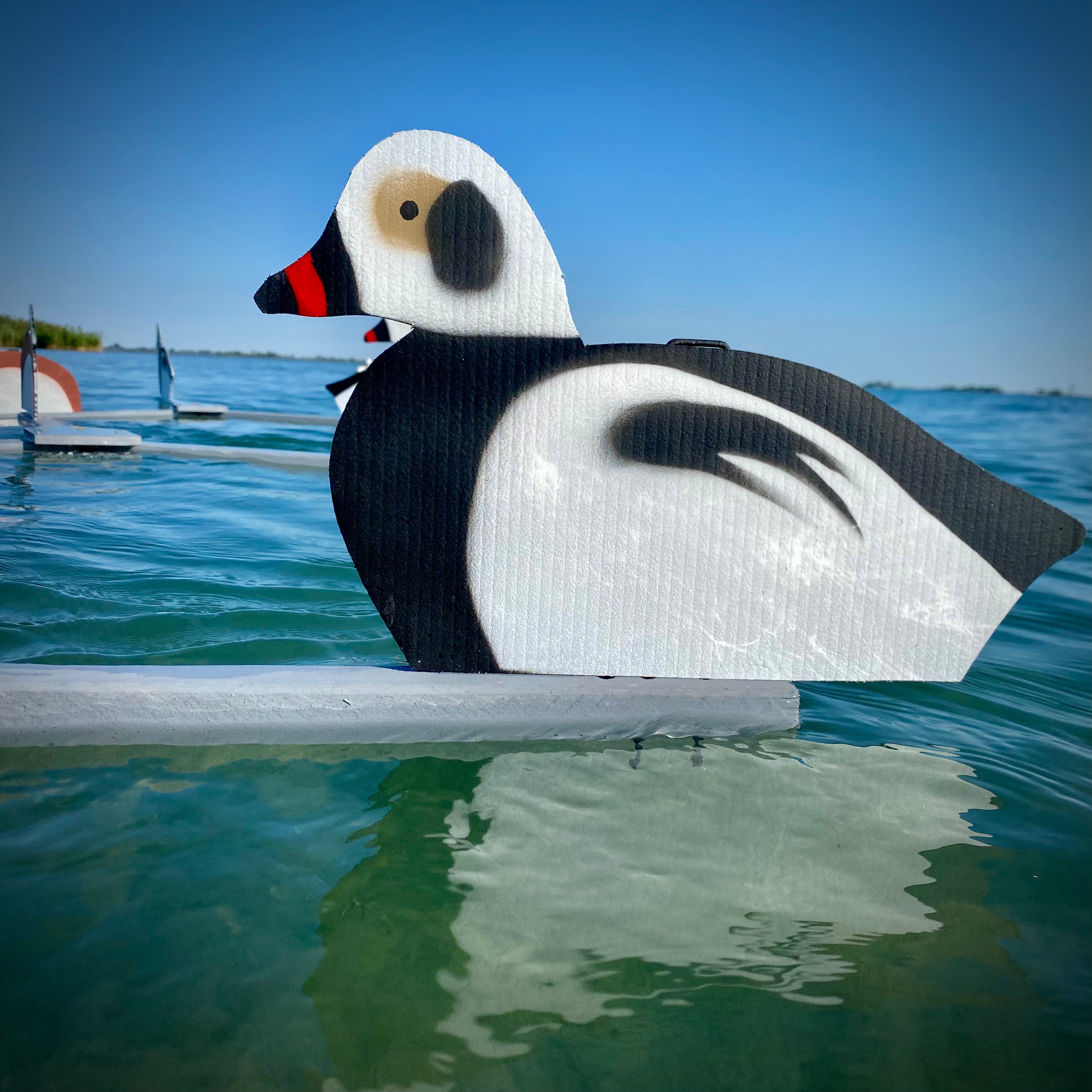 Complete V-Board Kit (1 doz Silhouettes, 4 Frames)