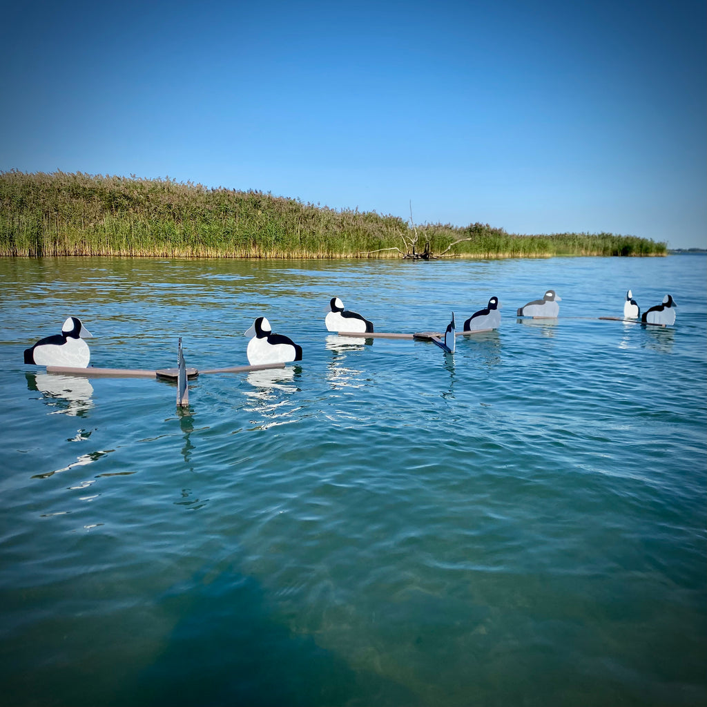 Complete V-Board Kit (1 doz Silhouettes, 4 Frames)