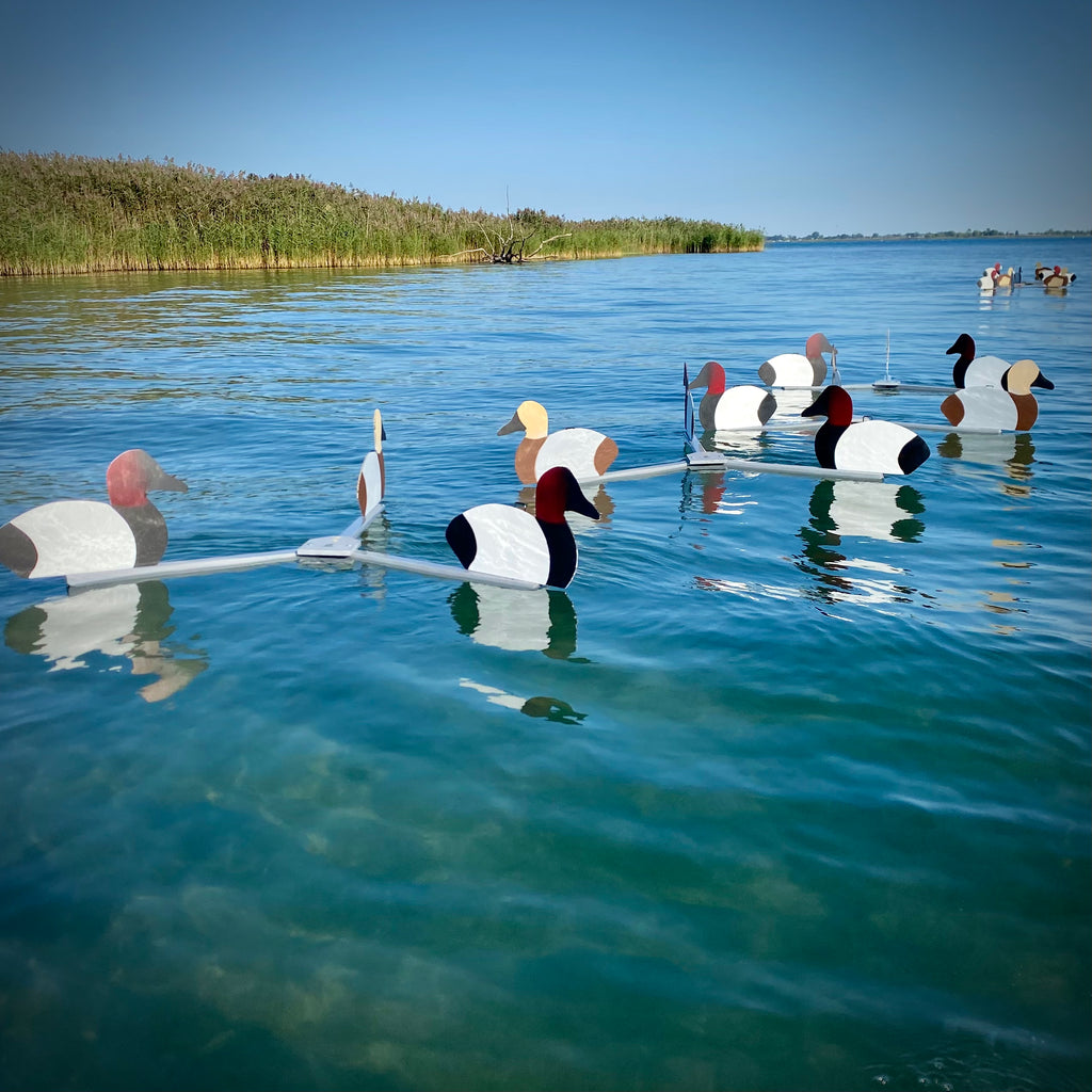 Complete V-Board Kit (1 doz Silhouettes, 4 Frames)