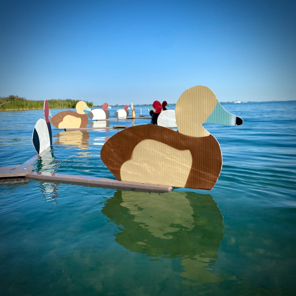 Complete V-Board Kit (1 doz Silhouettes, 4 Frames)