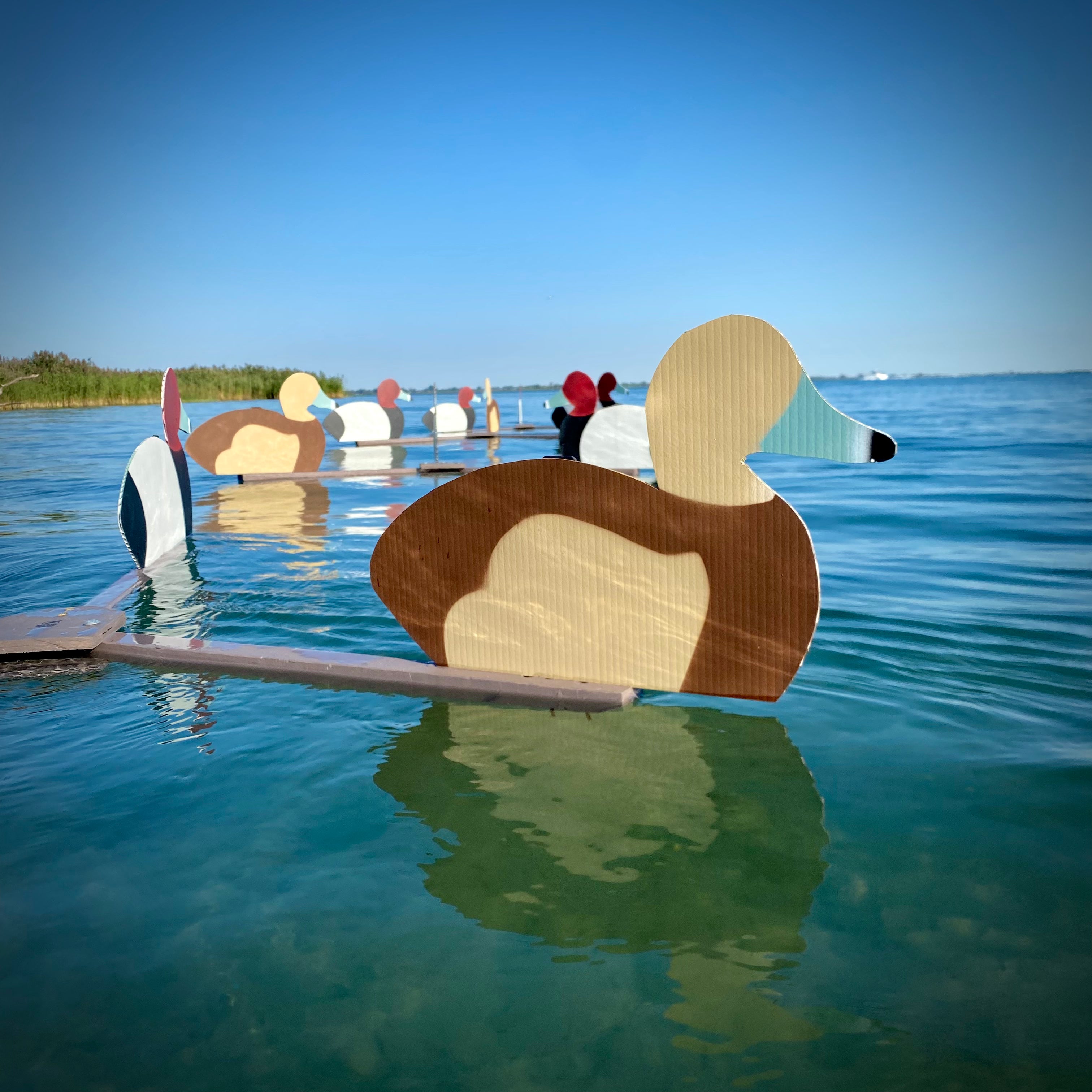 Complete V-Board Kit (1 doz Silhouettes, 4 Frames)