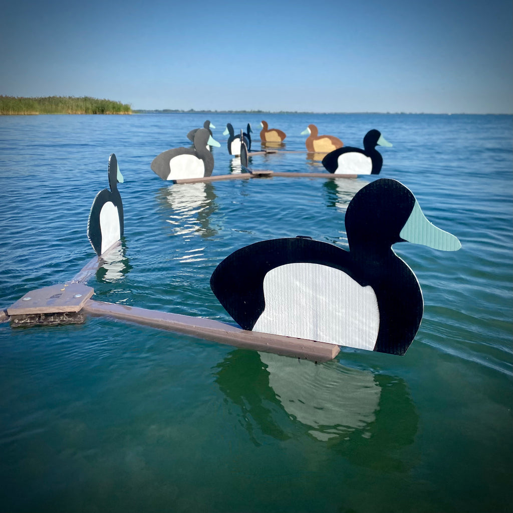 Complete V-Board Kit (1 doz Silhouettes, 4 Frames)