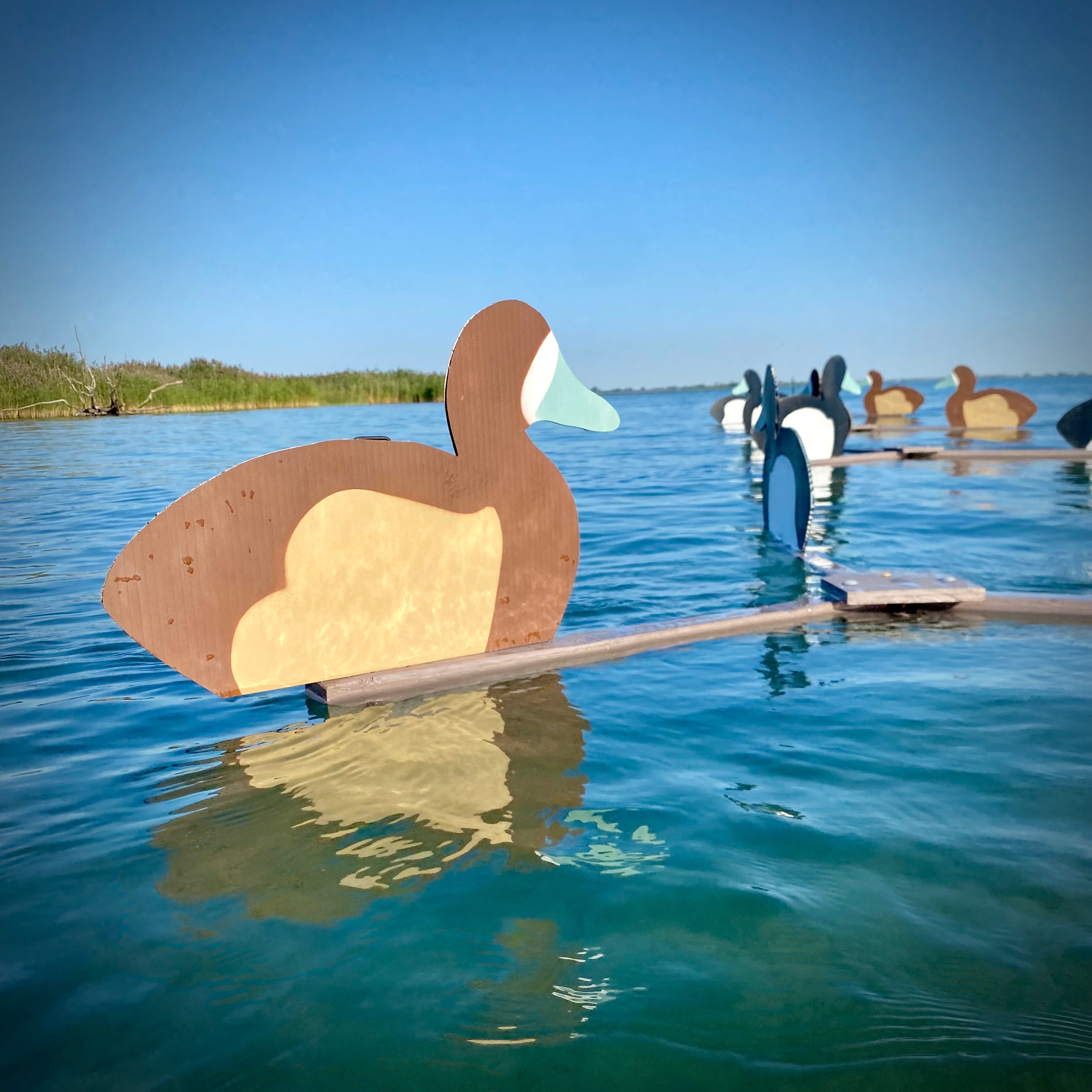 Complete V-Board Kit (1 doz Silhouettes, 4 Frames)