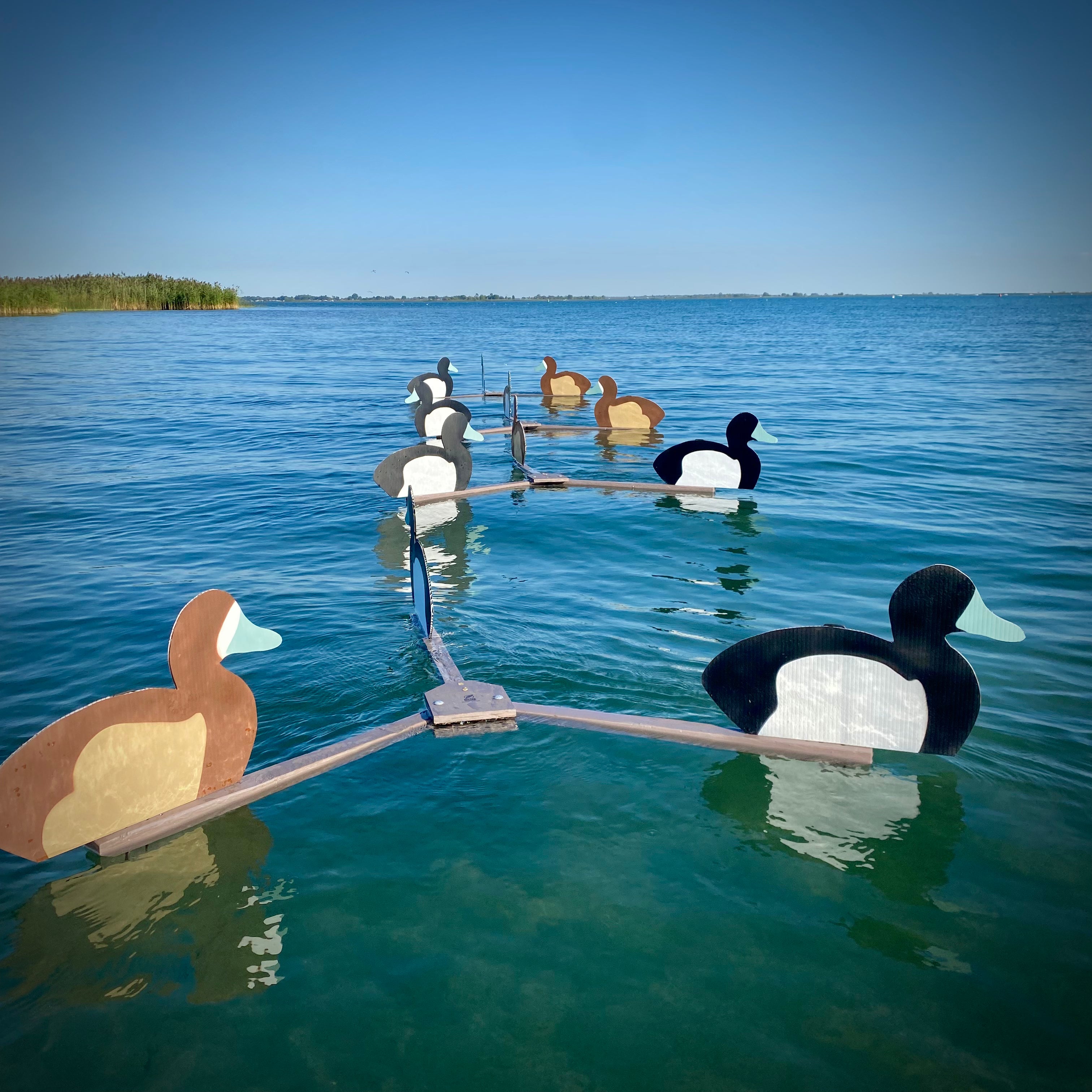 Complete V-Board Kit (1 doz Silhouettes, 4 Frames)