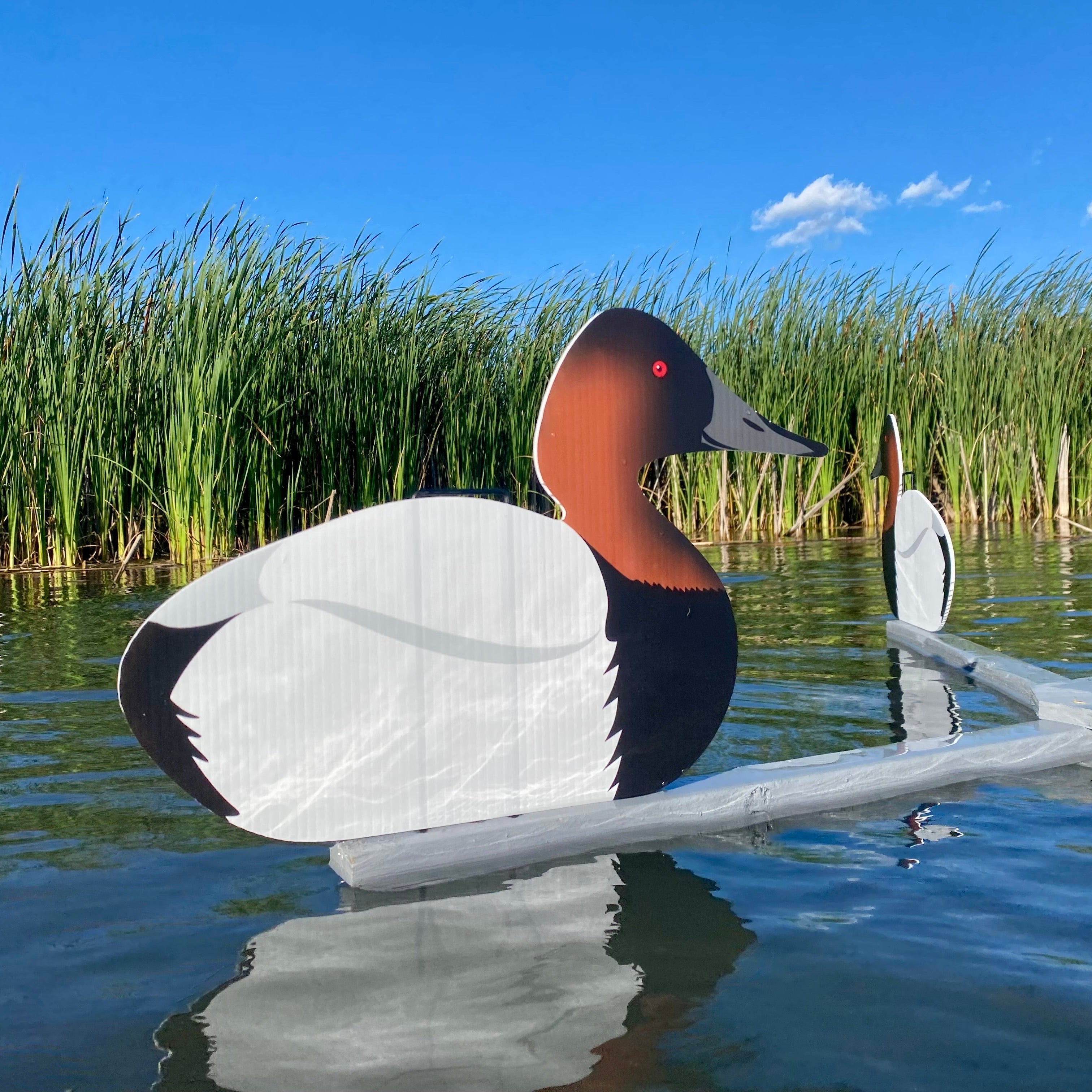 Silhouette Decoys (1 doz.)