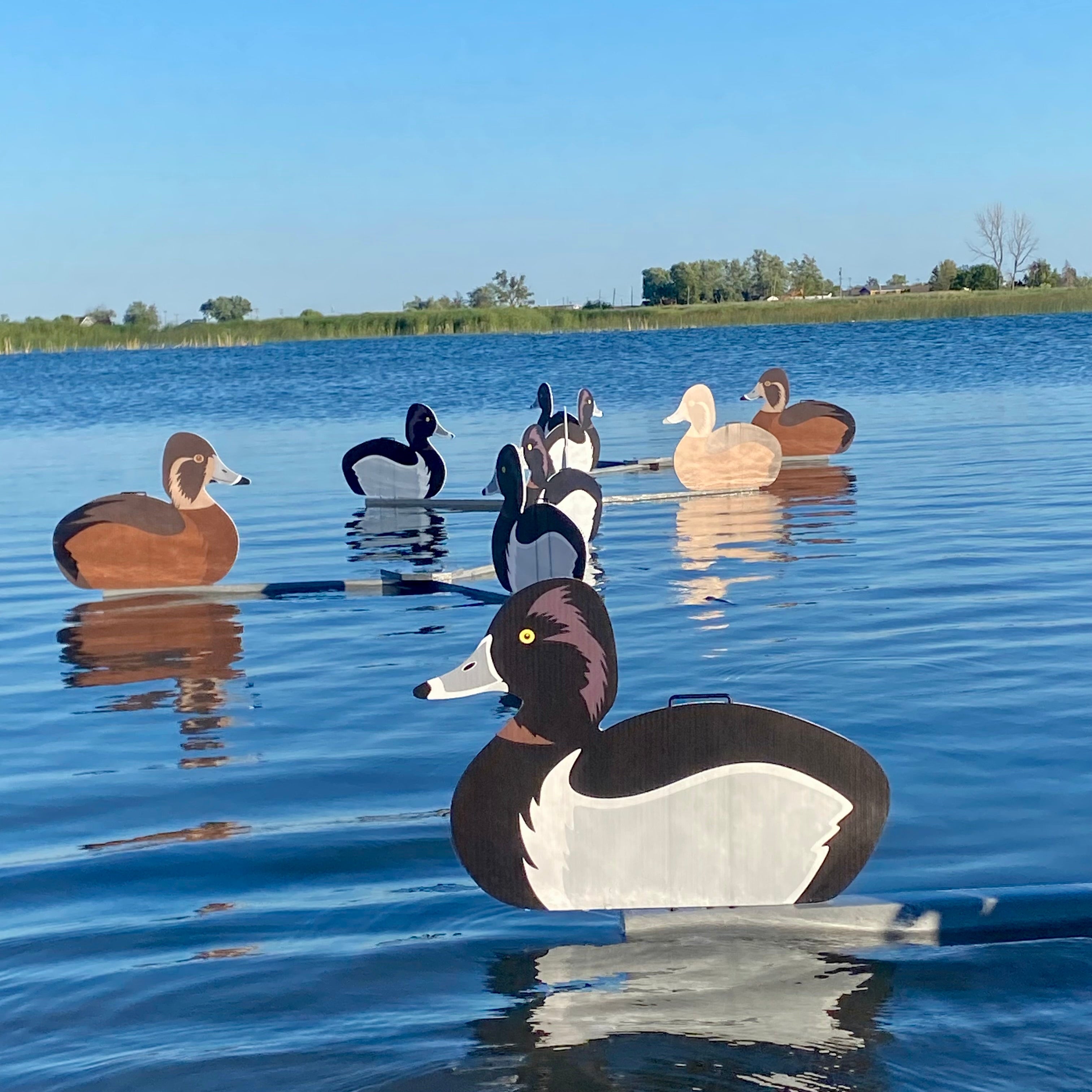 Silhouette Decoys (1 doz.)