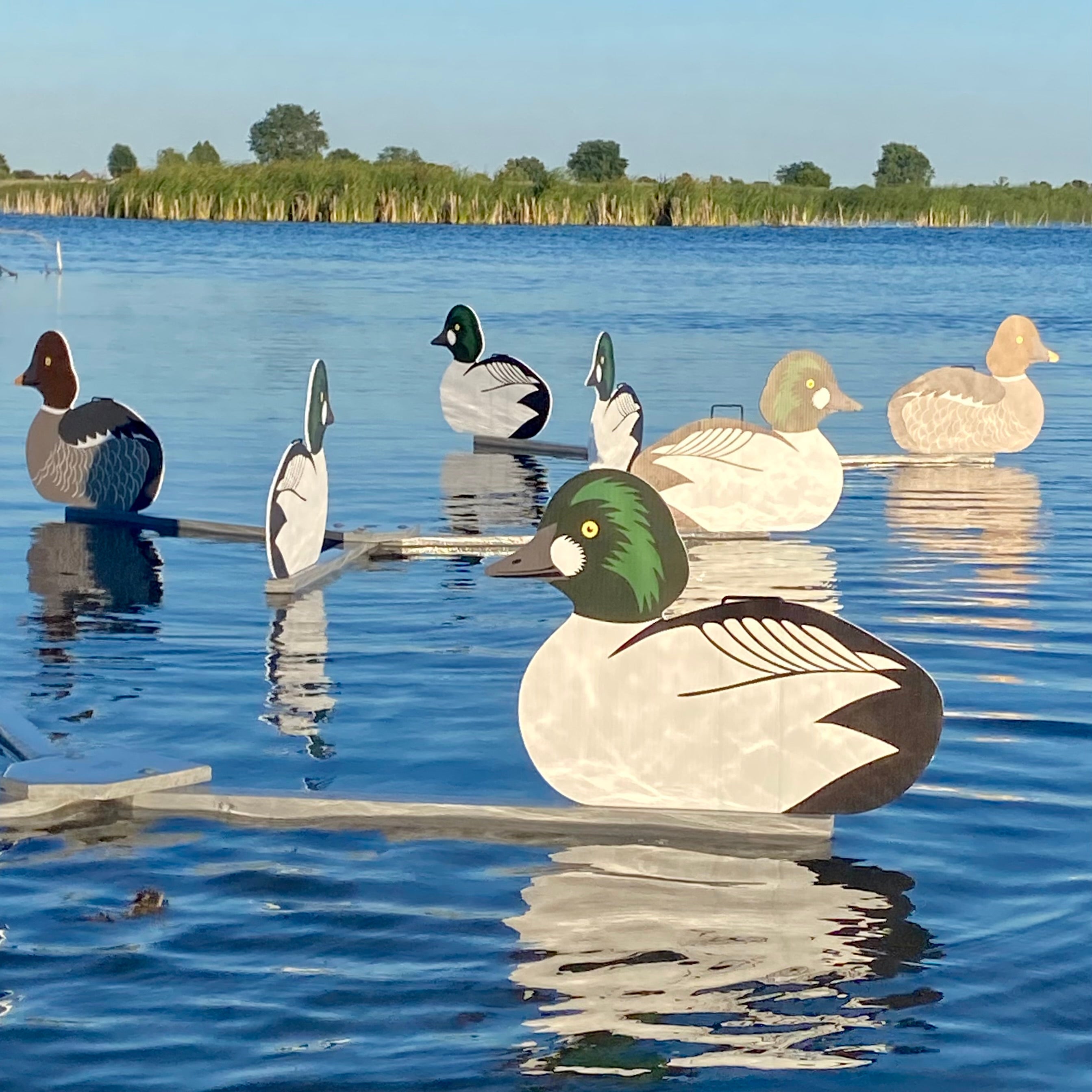 Silhouette Decoys (1 doz.)
