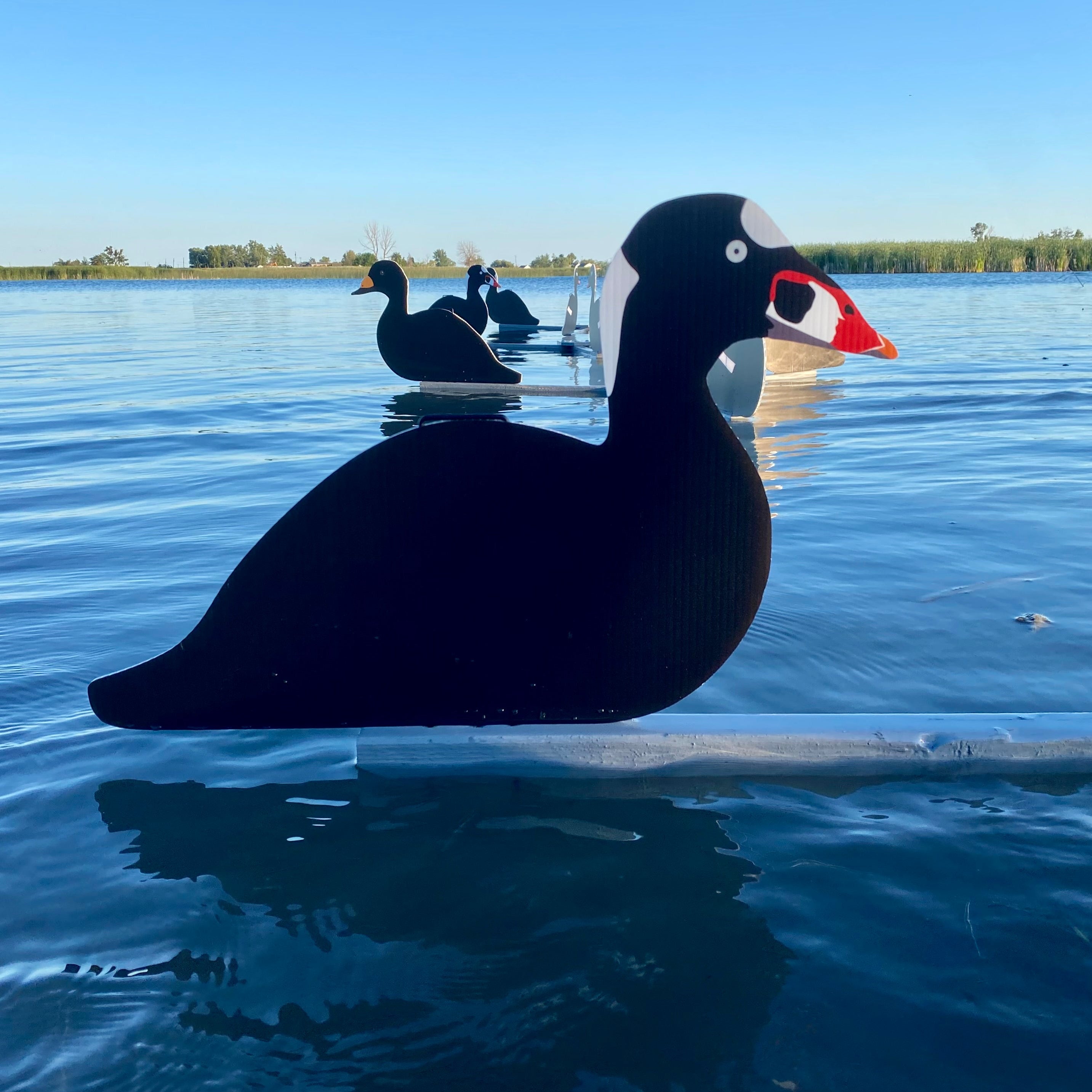 Silhouette Decoys (1 doz.)