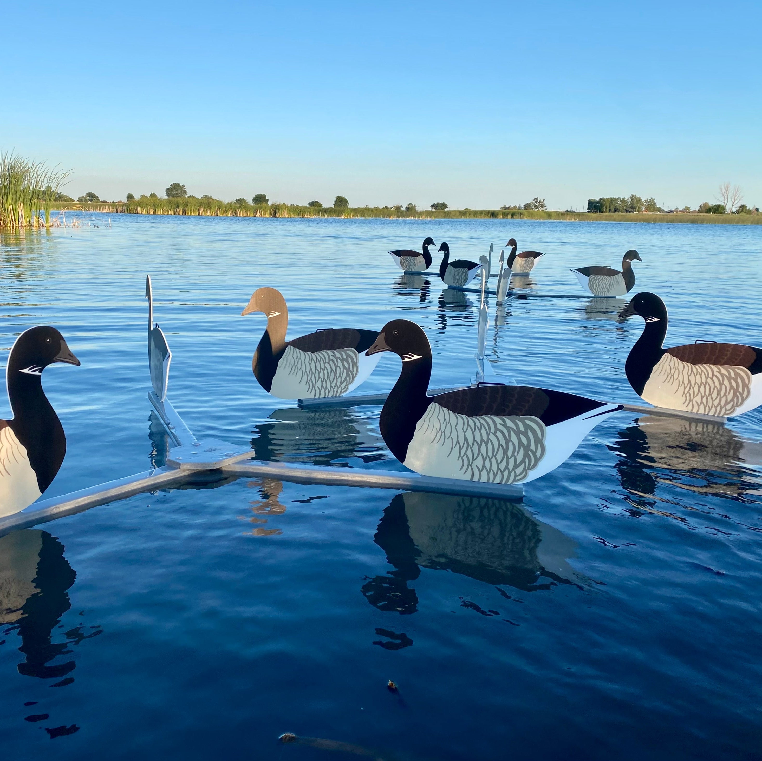 Silhouette Decoys (1 doz.)