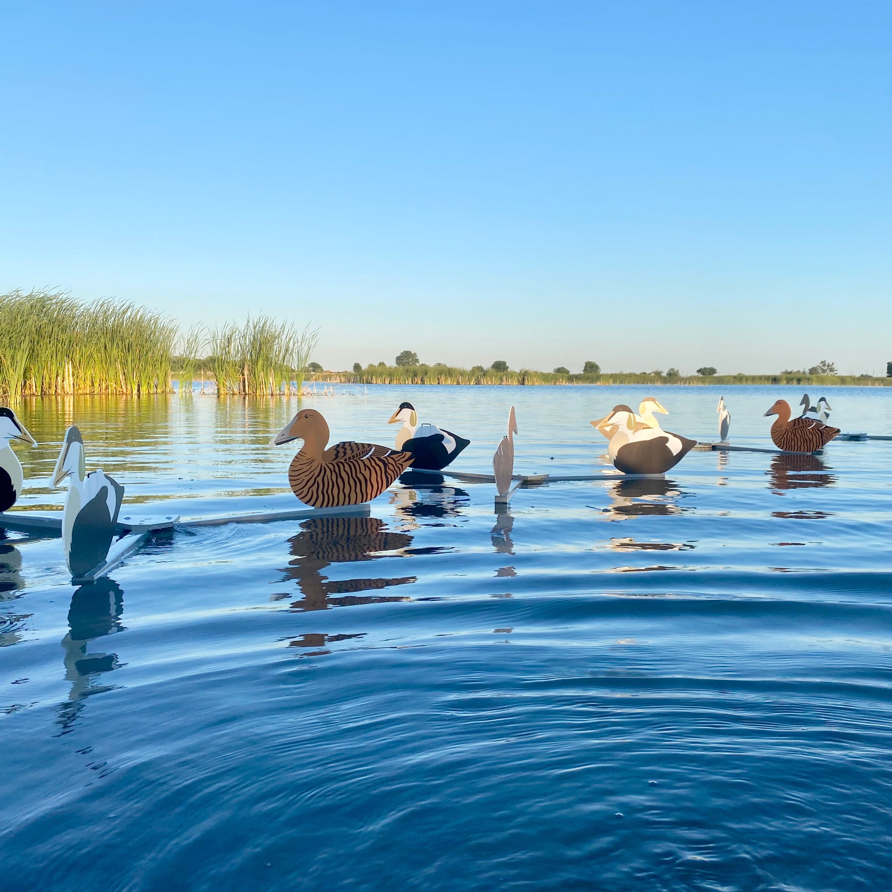 Silhouette Decoys (1 doz.)